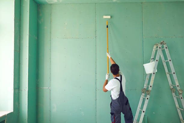 Best Basement Mold Removal  in Monaca, PA