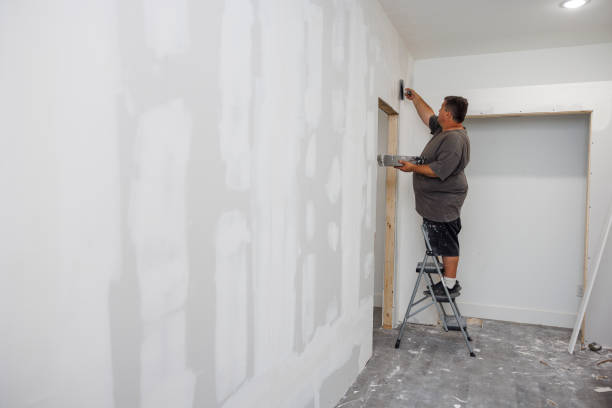 Best Water Damage & Mold Remediation  in Monaca, PA